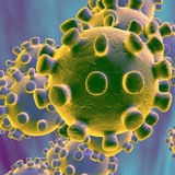 Coronavirus Brasil - Contagem