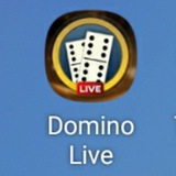 Dominoes Game Domino Live