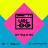 ⚡️ Get Public URL ⚡️