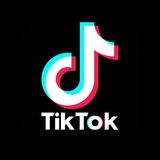 TikTok Video Downloader | تحميل مقاطع تيك توك