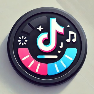 TikTok Downloader