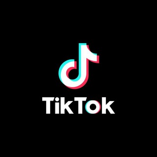 TikTok Downloader ™