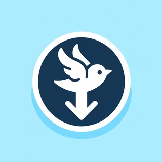 Twitter/X Video Downloader