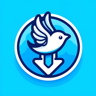 Twitter/TikTok Video Downloader