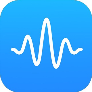 Voisogram | Chat & Voice AI Assistant