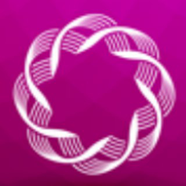 سئو پونه مدیا