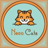 Neco Cats