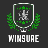 WinSure