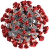Explicações sobre coronavírus - Atila