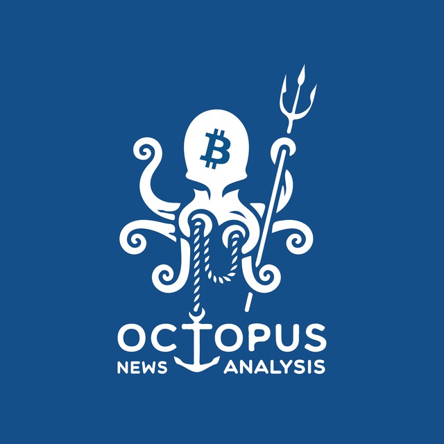 Octopus 🐙 News