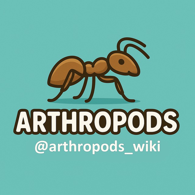 Arthropods