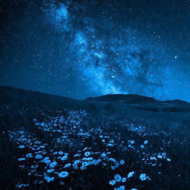 Чатик общения и знакомства