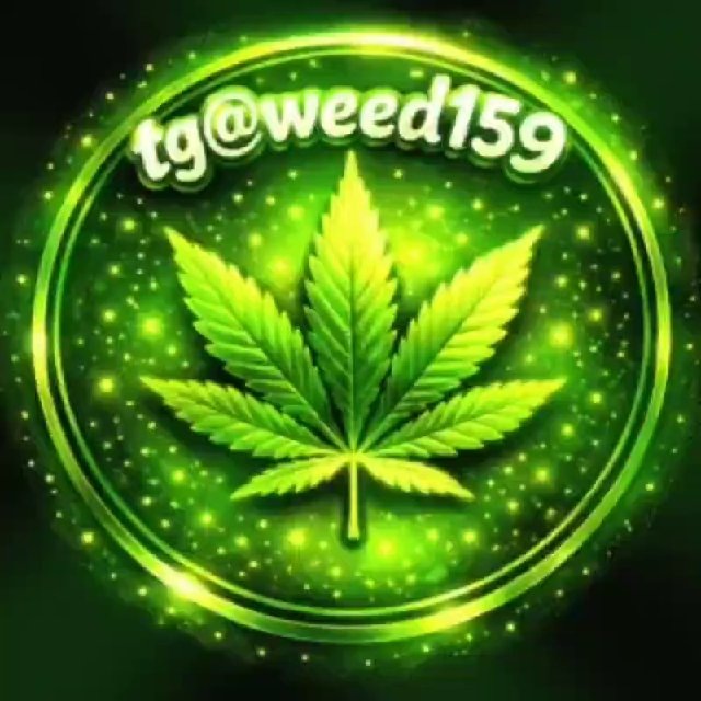 🚀tg@weed159🚀亞洲最大Tg大麻420專門店(台灣中國大陸香港