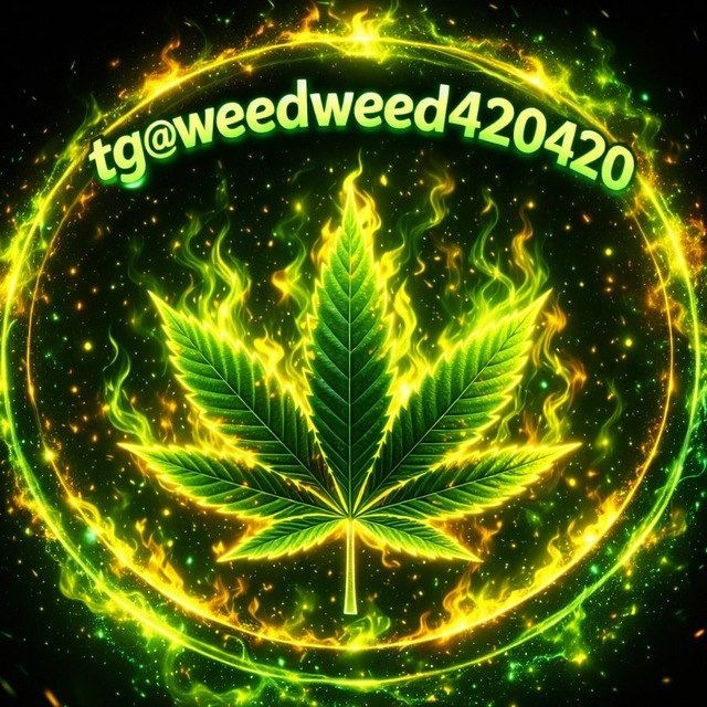🚀tg@weedweed420420🚀亞洲最大Tg大麻420專門店(台