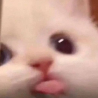 Albert